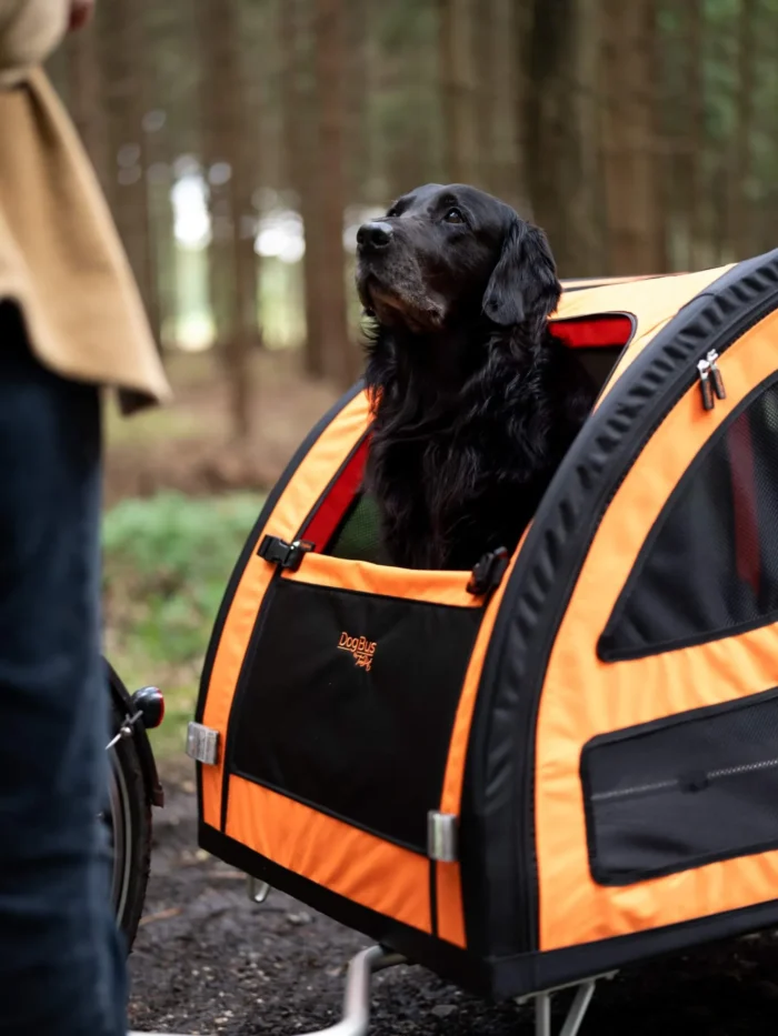 Gefederter Fahrradanhänger für große Hunde - TrendPet DogBus L – Bild 8