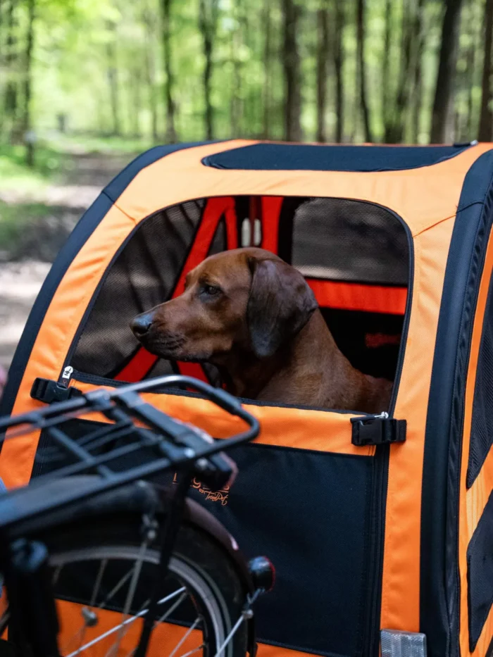 Gefederter Fahrradanhänger für große Hunde - TrendPet DogBus L – Bild 7